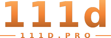 111d logo